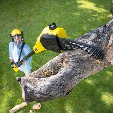 Best Aeration Services  in South River, NM